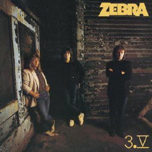 3.V|Zebra