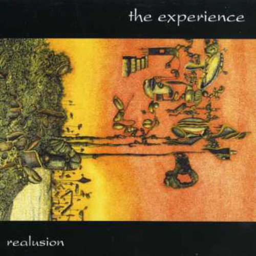 Realusion|Experience