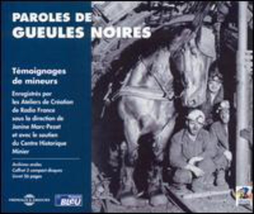 Paroles De Gueules Noires: Testimonies Of French Miners