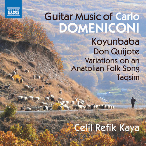Guitar Music Of Carlo Domeniconi|Domeniconi / Kaya
