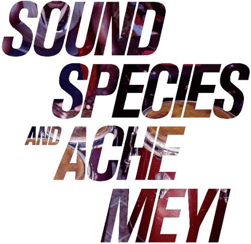 Soundspecies & Ache Meyi|Soundspecies/Ache Meyi