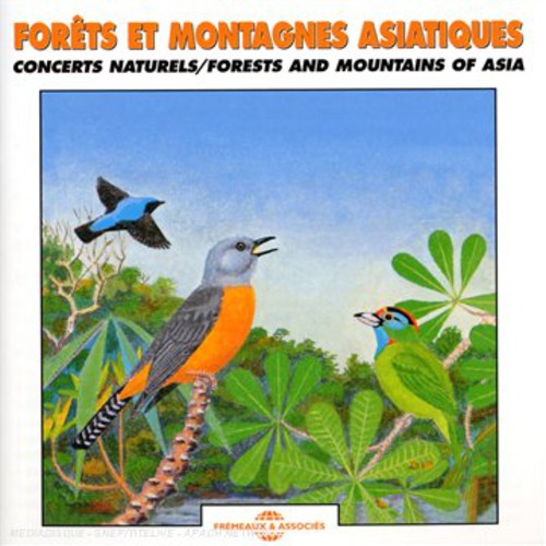 Forest and Mountains Of Asia: Natural Soundscapes