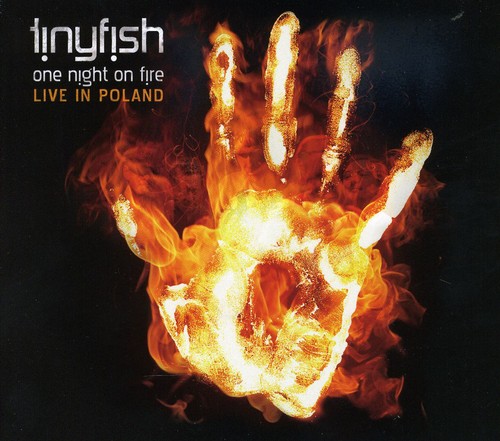 One Night on Fire|Tinyfish