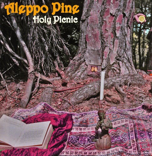 Holy Picnic