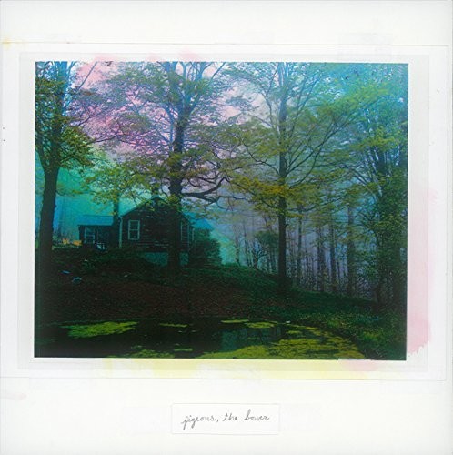 The Bower|Pigeons (Bronx)