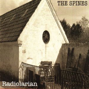 Radiolarian