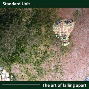 The Art Of Falling Apart