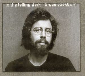In Falling Dark