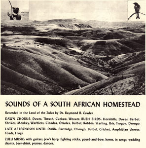 South African Homestead / Various
