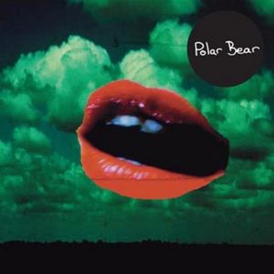 Polar Bear