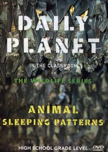 Animal Sleeping Patterns