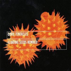 Floating Seeds