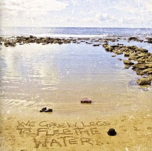 We Grew Legs To Flee The Water (IMPORT)