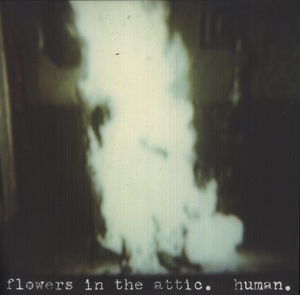 Human