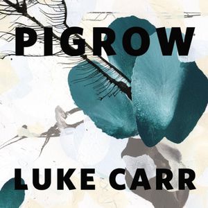 Pigrow