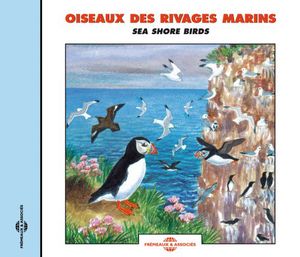 Sea Shore Birds