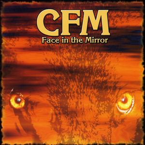 Face in the Mirror