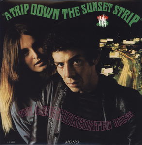Trip Down the Sunset Strip