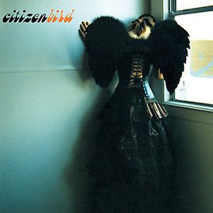 Citizen Bird