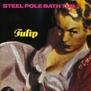 Tulip