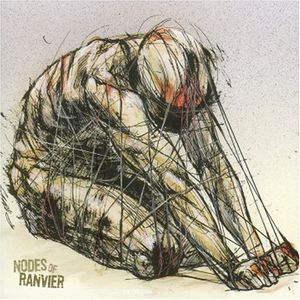 Nodes of Ranvier