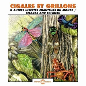 Cicadas and Crickets