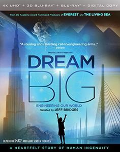 Dream Big: Engineering Our World