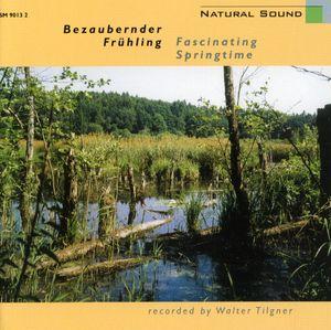 Fascinating Springtime