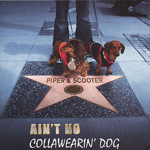 Ain't No Collawearin' Dog
