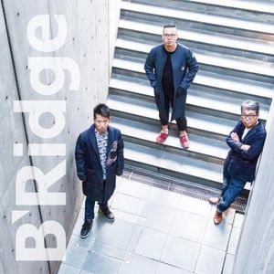 B'Ridge [Import]
