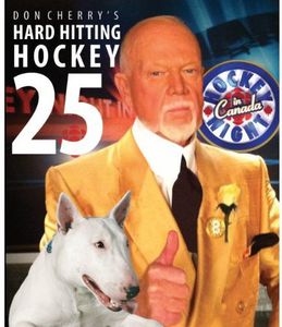 Hard Hitting Hockey 25