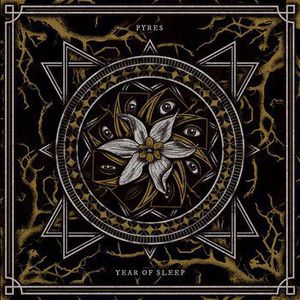 Year of Sleep