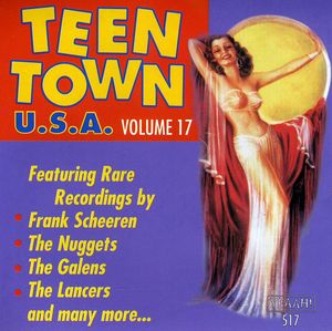 Teen Town Usa 17 / Various