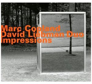 Impressions