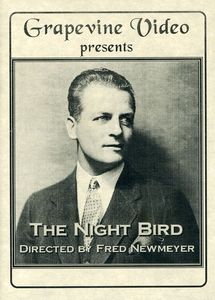 Night Bird