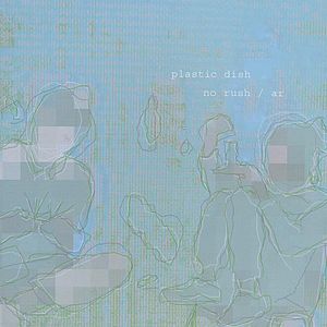 Plastic Dish No Rush