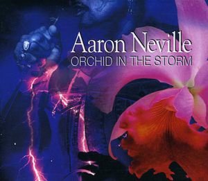Orchid in the Storm