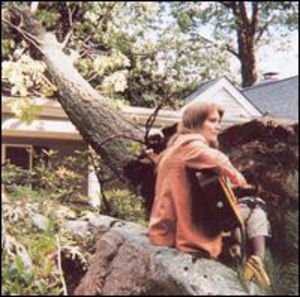 Sound of a Tree Falling