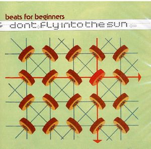 Don't Fly Into the Sun