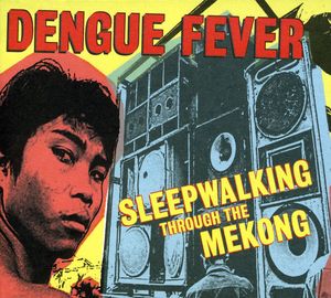 Sleepwalking Through the Mekong