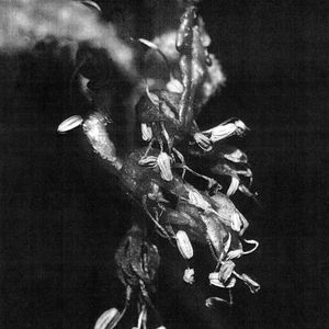 Sufferers