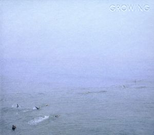 Sky's Run Into the Sea