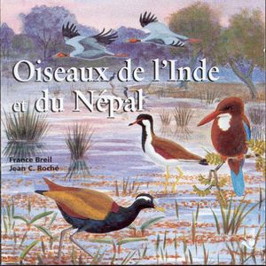 Birding in India & Nepal
