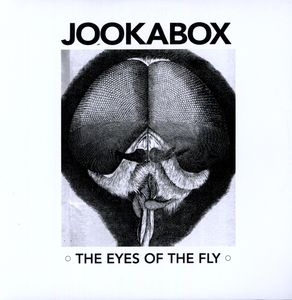 The Eyes Of The Fly