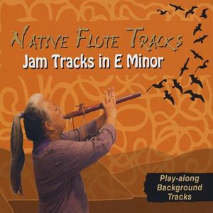 Jam Tracks in E Minor / Various