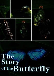 The Story of the Butterfly
