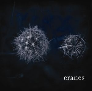 Cranes