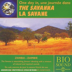 Savanna