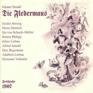 Die Fledermaus