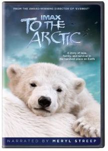 To the Arctic